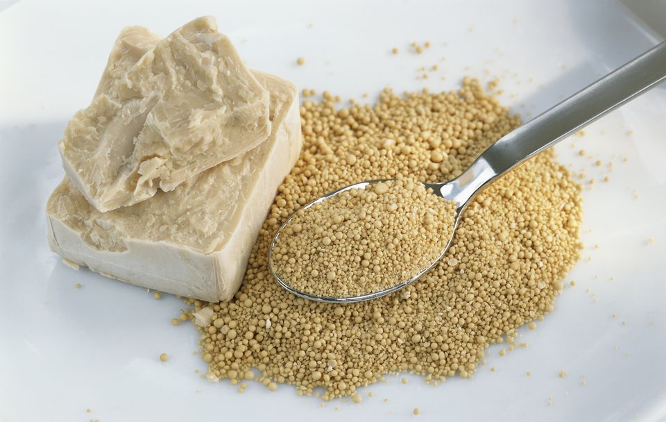 What is Yeast