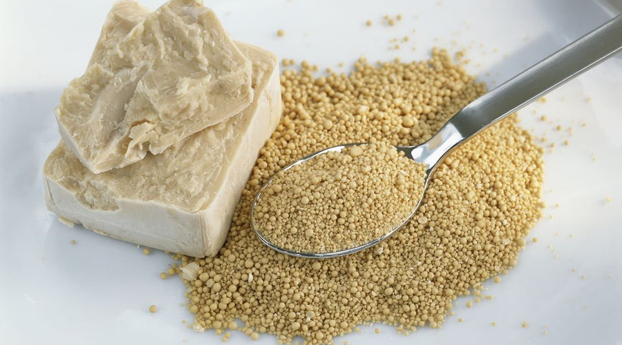 What is Yeast